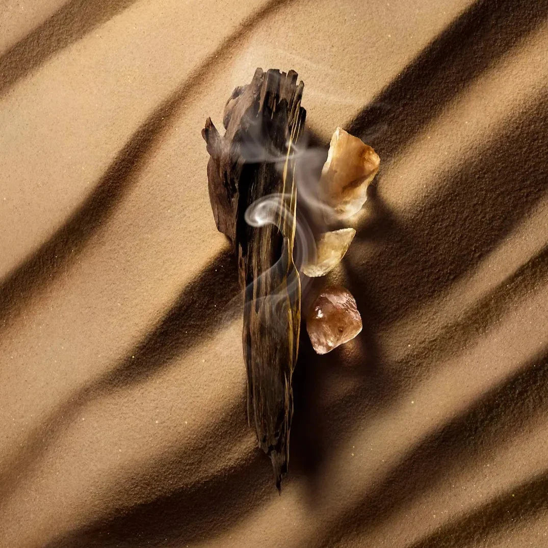 Louis Vuitton Ombre Nomade EDP 100 ml – унисекс