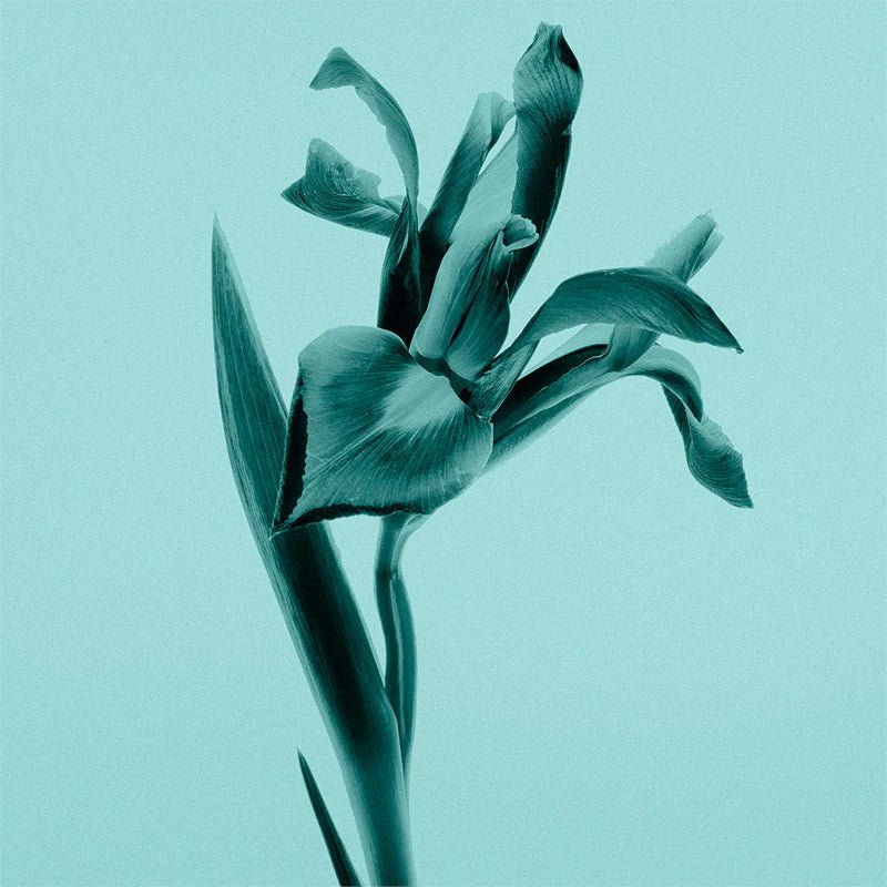 Tiffany & Co. 75 ml EDP - Парфюм за жени - Fragnance