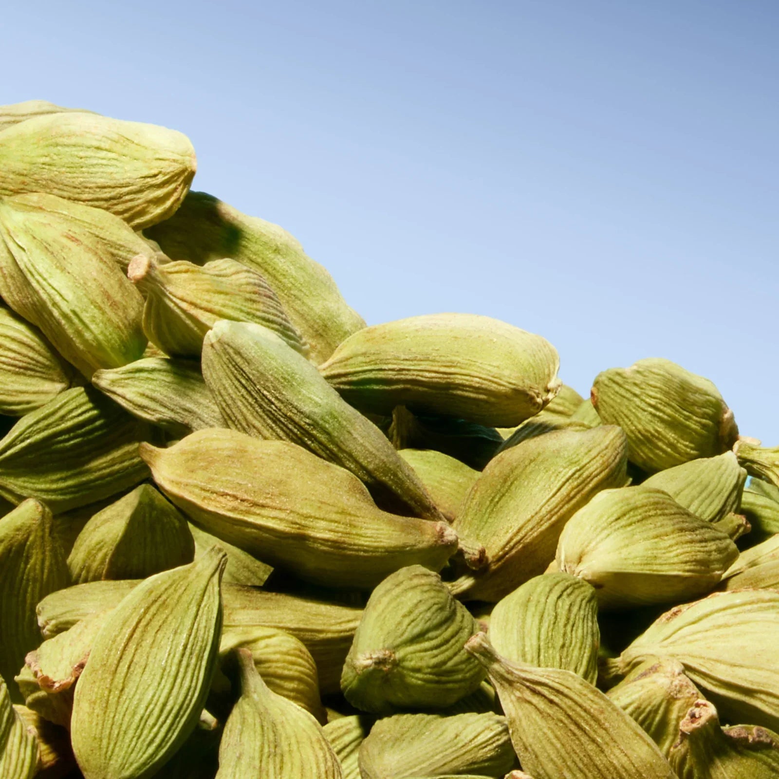 Azzaro Wanted 100 ml EDT - Тоалетна вода за мъже